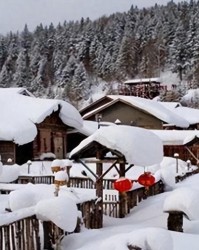 60年一遇！今天四九第一天，若今天天晴，2026年春节要出新高度